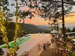 Tour Nha Trang - Đà Lạt: Vinpearl - Viện hải dương học - Cao nguyên hoa - Puppy Farm
